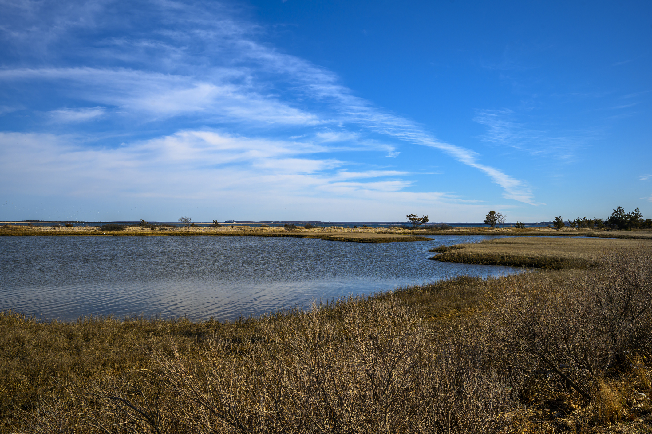 View on the Long Island Sound in early spring